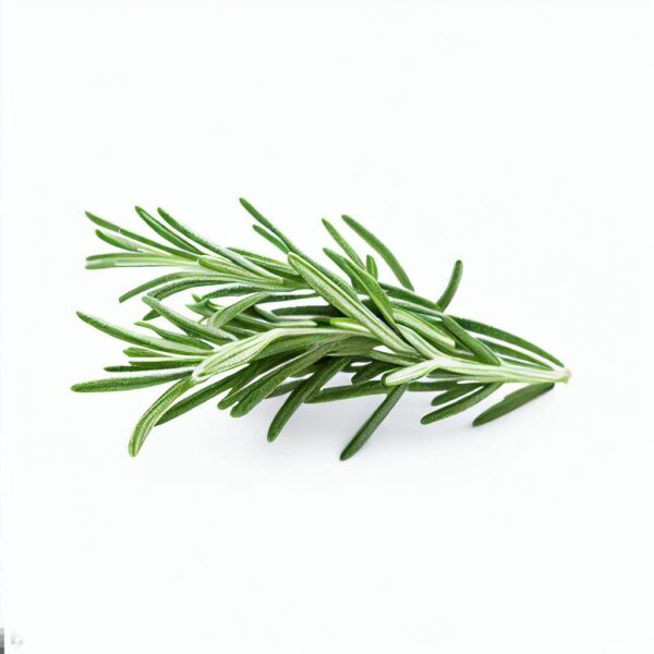Rosemary 100g