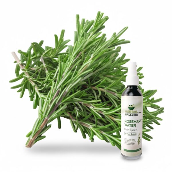 Steam Distilled Rosemary Water 100 Ml