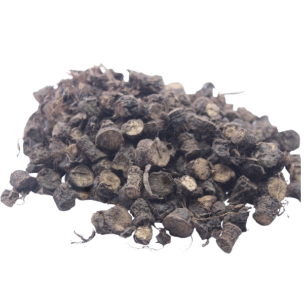Nilappanaikizhangu Unakka/ Black Musli