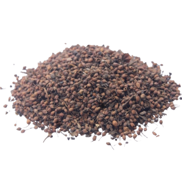 Takara(Panjab)/ Foetid Cassia
