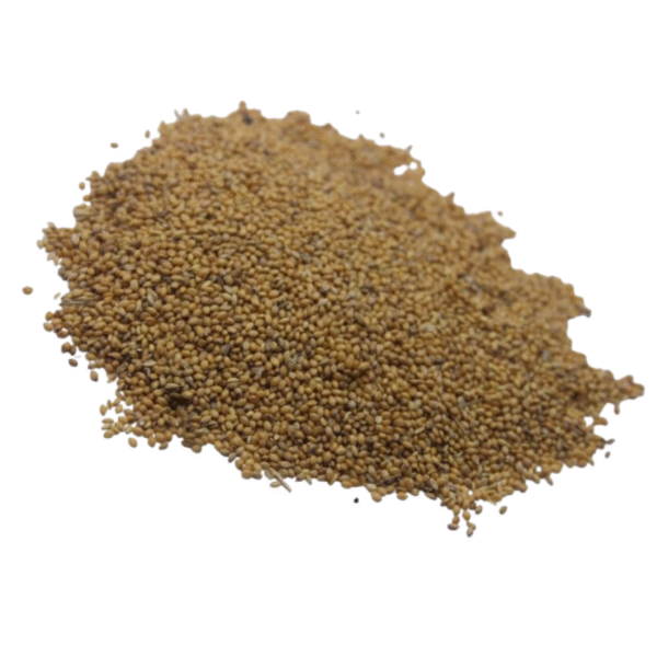 Thina / Great Millet