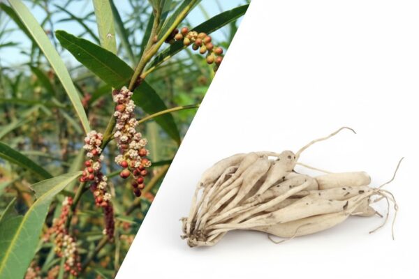 Aattuvanchi  Veru-100gm