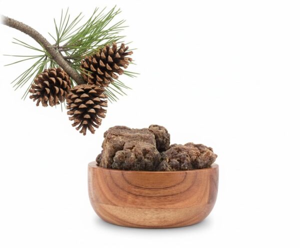 Charalam/Longleaved Pine-100gm