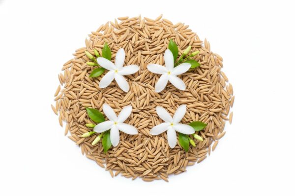 Danthappalayila / Pala indigo plant -100gm