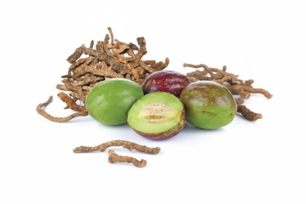 Kadukka/ Chebulic Myrobalan-100gm