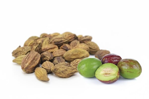 Kadukkathod/ Chebulic Myrobalan(Fruit rind)-100gm