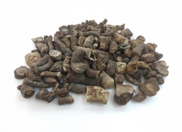 Kalli Veru/ Thorny Milk Hedge Plan-100gm