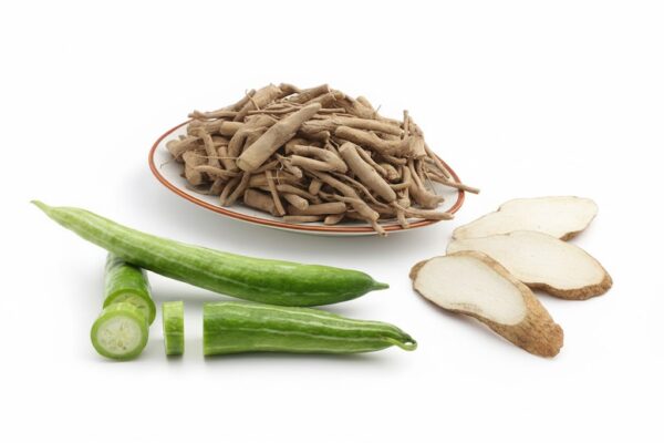 Kattupadavalam Samoolam/Wild snake gourd -100gm