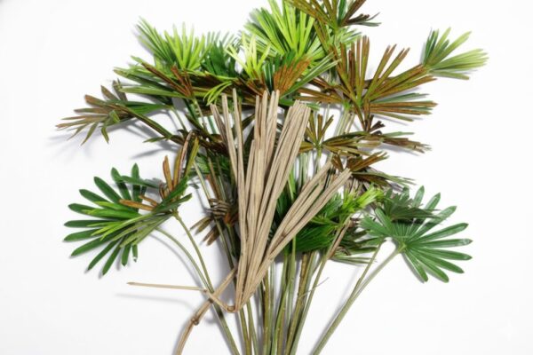 Nanmukappullu/ Peacock’s tail [dried] -100gm