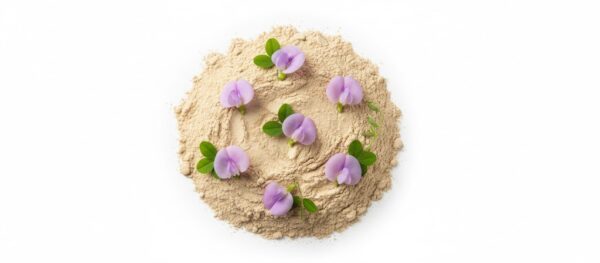 Nilamparanda Samulam/ kuddalia-100gm