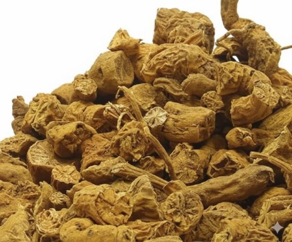 Padakizhangu /Flase Pareirabrave -100gm