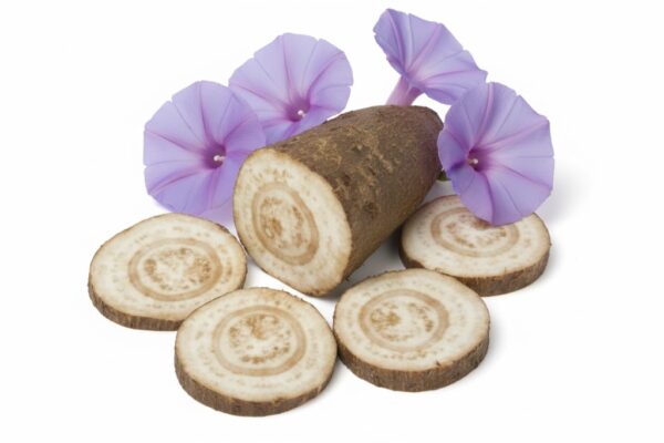 Palmutukku/French Honey Suckle Tuber-100gm