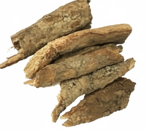 Pachotti Tholi Unakka/Lodh Tree (dried)