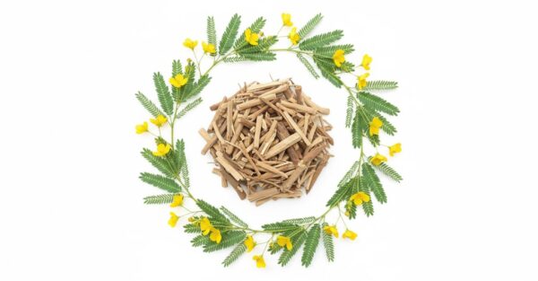 Padarchunda Veru/ Ptwa ghas mool-100gm