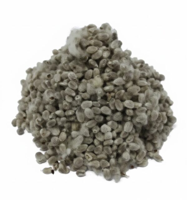 Paruthi Kuru/ Indian Cotton Seed-100gm