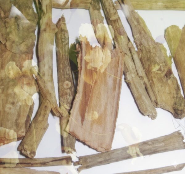 Padiri Veru/Pdhal -100gm