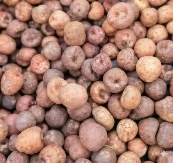 Pazhukaṭaykka/Arecanut Palm-100gm