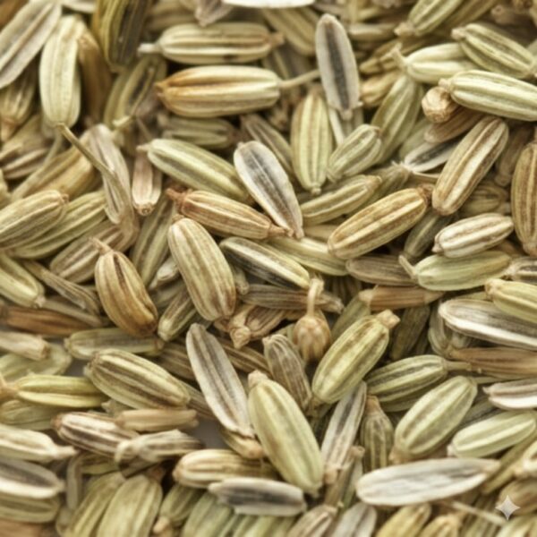 Perum jeerakam/Fennel