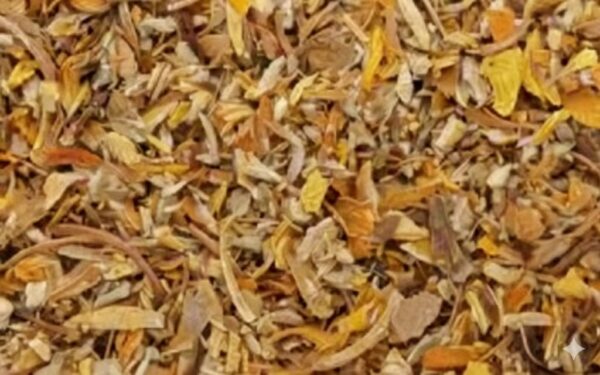 Plasintholi/Bastard Teak [dried] -100gm