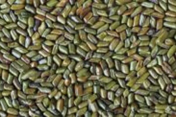 Ponnanthakara Kuru/Foetid Cassia