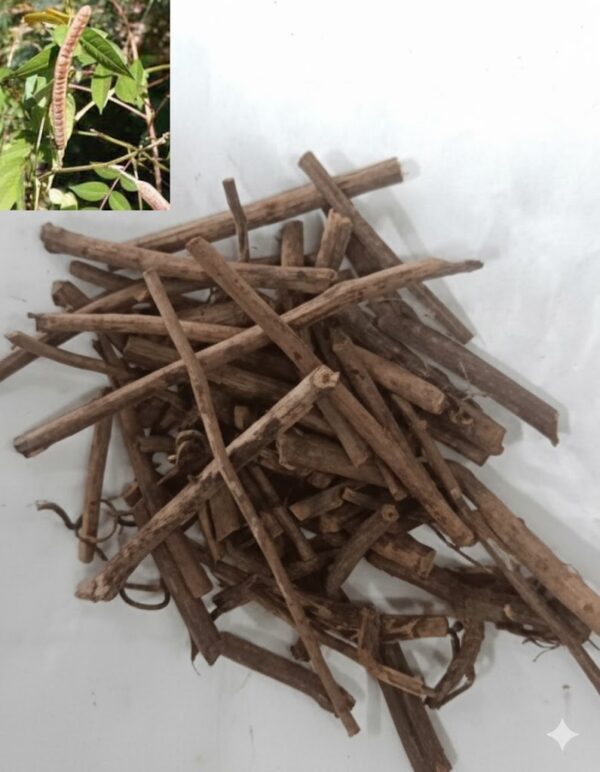 Ponnanveerathin Veru/Negrao coftee Plant-100gm