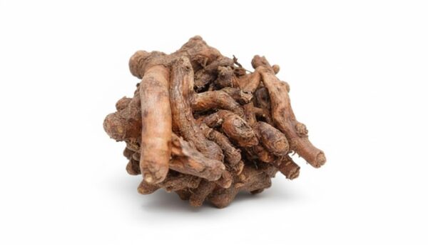 Thengin Veru/ Coconut Palm-100gm