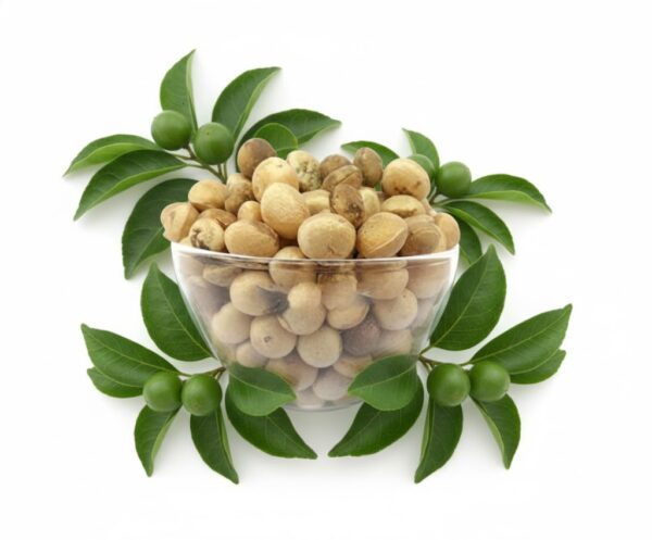 Thettamparam/ Clearing Nut