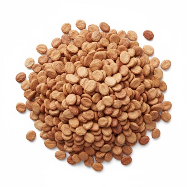 Ungin Kuru / Karanj-100gm