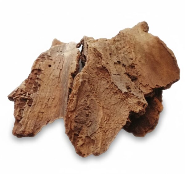 Ungin Tholi / Indian Beach [dried]-100gm