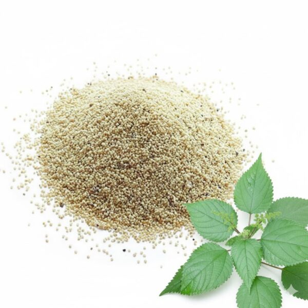 Amaveru / Pinreed Grass