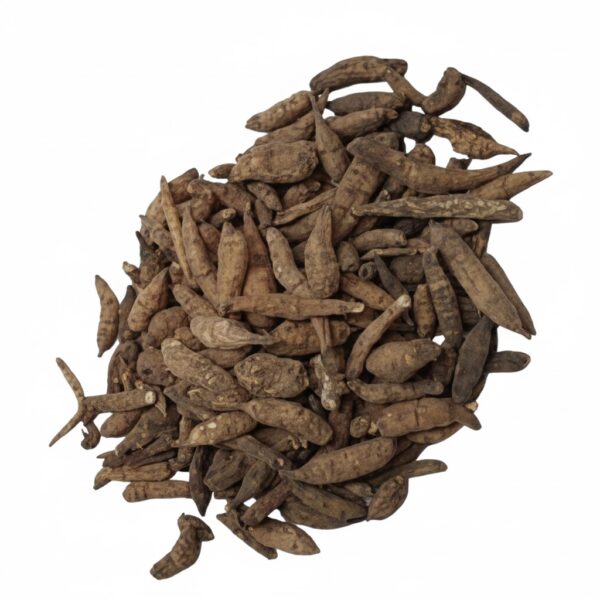 Indian Atis/Athividayam