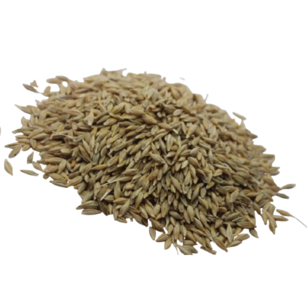 Yavam/Barley