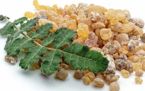 Mani Kunturukkam/Oil banam -100gm