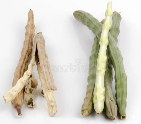 Muringa Kuru/Drum Stick Tree [dried]-100gm