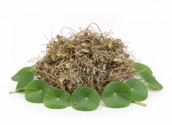 Muttil/Kudangal Samoolam/Brahma-100gm