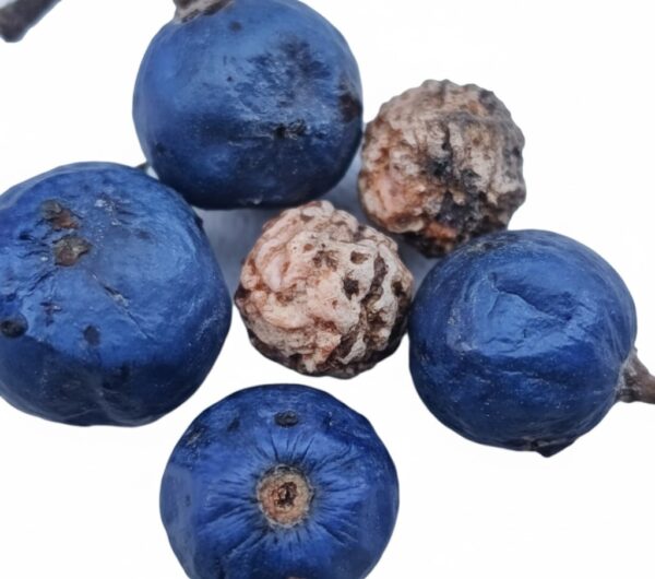 Rudraksham/Rosery Nut -100gm