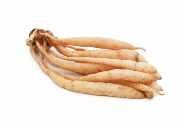 Sathavari kizhang Pacha/Wild aspara gus-100gm