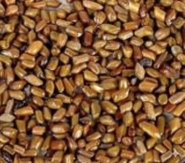 Vattathakara Kuru/ Sickle senna -100gm