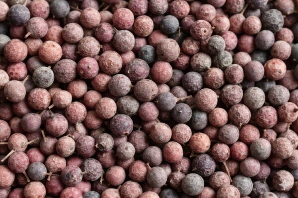 Vizhalari/Babrieng-100gm