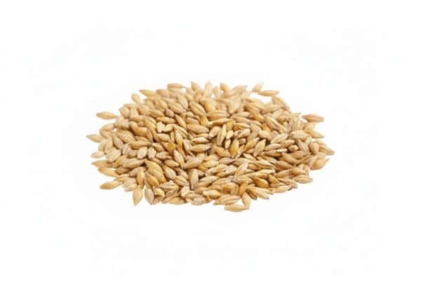 Yavam/Barley-100gm