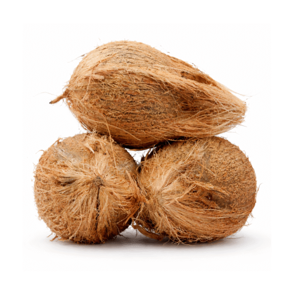 Cocunut