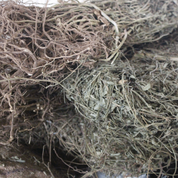 Koduthuva